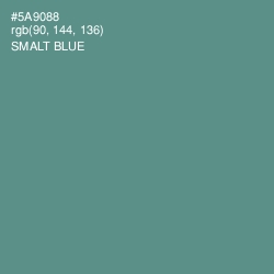 #5A9088 - Smalt Blue Color Image