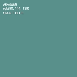 #5A908B - Smalt Blue Color Image