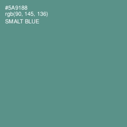 #5A9188 - Smalt Blue Color Image