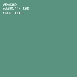 #5A9380 - Smalt Blue Color Image