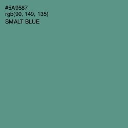 #5A9587 - Smalt Blue Color Image