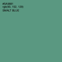 #5A9881 - Smalt Blue Color Image