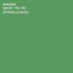 #5A9960 - Spring Leaves Color Image