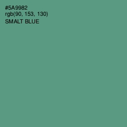 #5A9982 - Smalt Blue Color Image