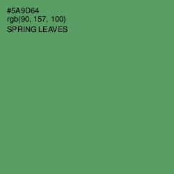 #5A9D64 - Spring Leaves Color Image