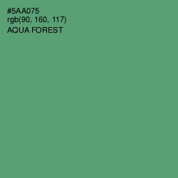 #5AA075 - Aqua Forest Color Image