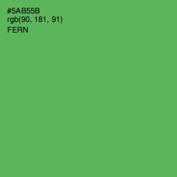 #5AB55B - Fern Color Image