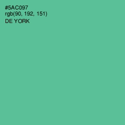 #5AC097 - De York Color Image