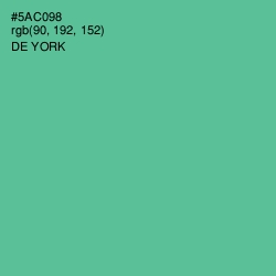 #5AC098 - De York Color Image