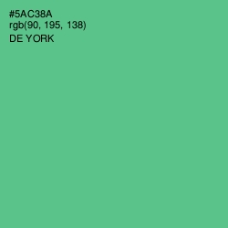 #5AC38A - De York Color Image