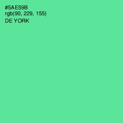 #5AE59B - De York Color Image