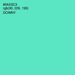 #5AE5C3 - Downy Color Image