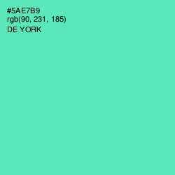 #5AE7B9 - De York Color Image