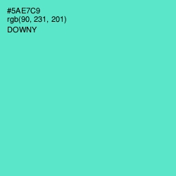 #5AE7C9 - Downy Color Image