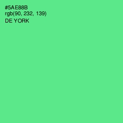 #5AE88B - De York Color Image
