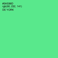 #5AE88D - De York Color Image