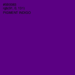 #5B0083 - Pigment Indigo Color Image