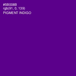 #5B008B - Pigment Indigo Color Image