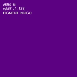 #5B0181 - Pigment Indigo Color Image