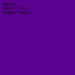 #5B018F - Pigment Indigo Color Image