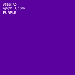 #5B01A0 - Purple Color Image