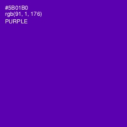#5B01B0 - Purple Color Image