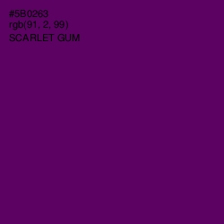 #5B0263 - Scarlet Gum Color Image