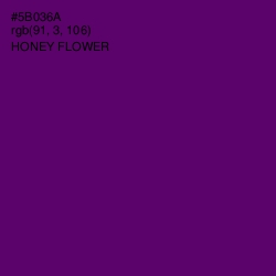 #5B036A - Honey Flower Color Image