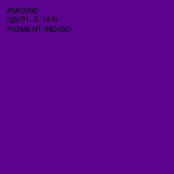 #5B0390 - Pigment Indigo Color Image