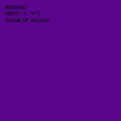 #5B048D - Pigment Indigo Color Image