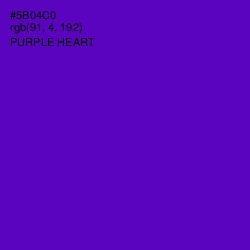 #5B04C0 - Purple Heart Color Image