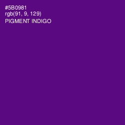 #5B0981 - Pigment Indigo Color Image