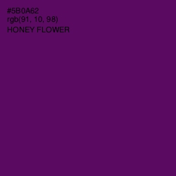 #5B0A62 - Honey Flower Color Image