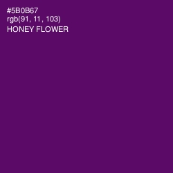 #5B0B67 - Honey Flower Color Image
