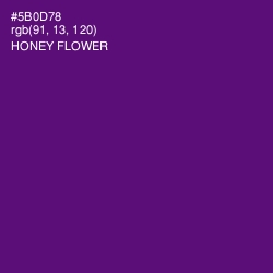 #5B0D78 - Honey Flower Color Image