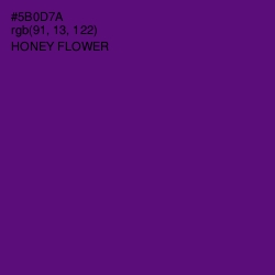 #5B0D7A - Honey Flower Color Image