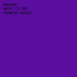 #5B0D9F - Pigment Indigo Color Image