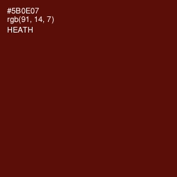 #5B0E07 - Heath Color Image