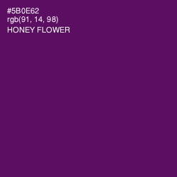 #5B0E62 - Honey Flower Color Image