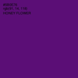 #5B0E76 - Honey Flower Color Image