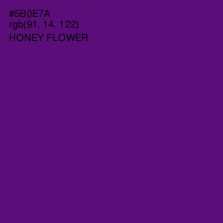 #5B0E7A - Honey Flower Color Image