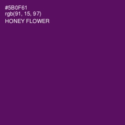 #5B0F61 - Honey Flower Color Image