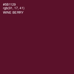 #5B1129 - Wine Berry Color Image