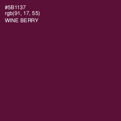 #5B1137 - Wine Berry Color Image