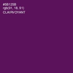 #5B125B - Clairvoyant Color Image