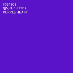 #5B13C9 - Purple Heart Color Image