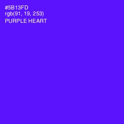 #5B13FD - Purple Heart Color Image