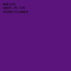 #5B147C - Honey Flower Color Image