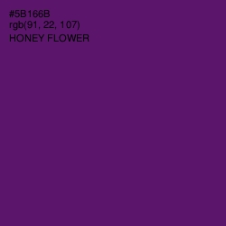 #5B166B - Honey Flower Color Image