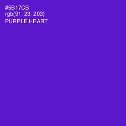 #5B17CB - Purple Heart Color Image